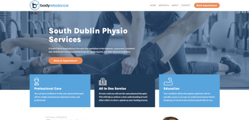 A physiotherapist assists a patient on a treatment table in a clinic, with a &ldquo;South Dublin Physio Services&rdquo; banner and service cards displayed below.